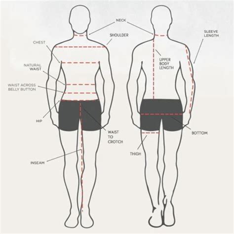 how to measure torso height.